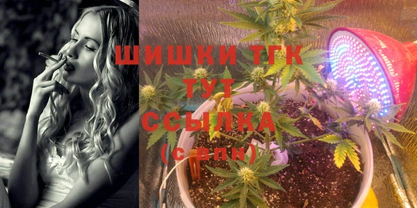дурь Верхний Тагил
