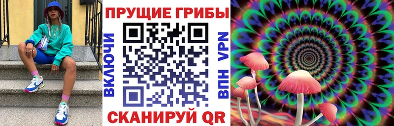 мега рабочий сайт  хочу   Кизел  Галлюциногенные грибы Cubensis 