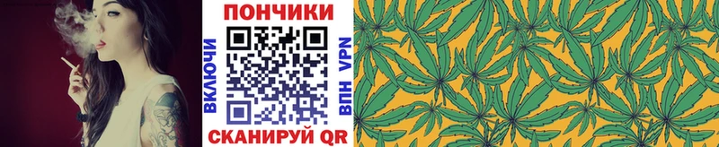 Шишки марихуана гибрид  Кизел 
